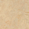 Forbo Marmoleum Real(   ) 3038