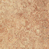 Forbo Marmoleum Real(   ) 3032
