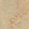 Forbo Marmoleum Real(   ) 3048