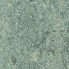 Forbo Marmoleum Real(   ) 3038