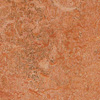 Forbo Marmoleum Real(   ) 3032